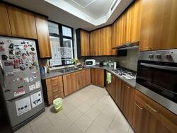 Valley Park (D10), Condominium #574033991